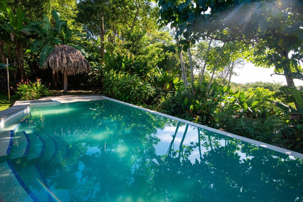 Jungle Lodge At Wild Sun Rescue Center Cabuya  Exterior photo
